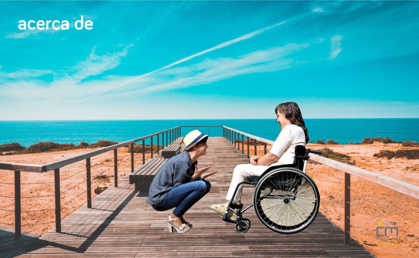 Nueva Ley de Accesibilidad 2017Consultora de Dsieño Accesible